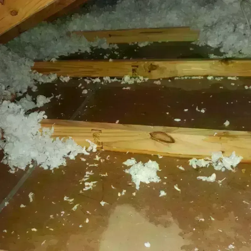 Attic Water Damage in Cozad, NE