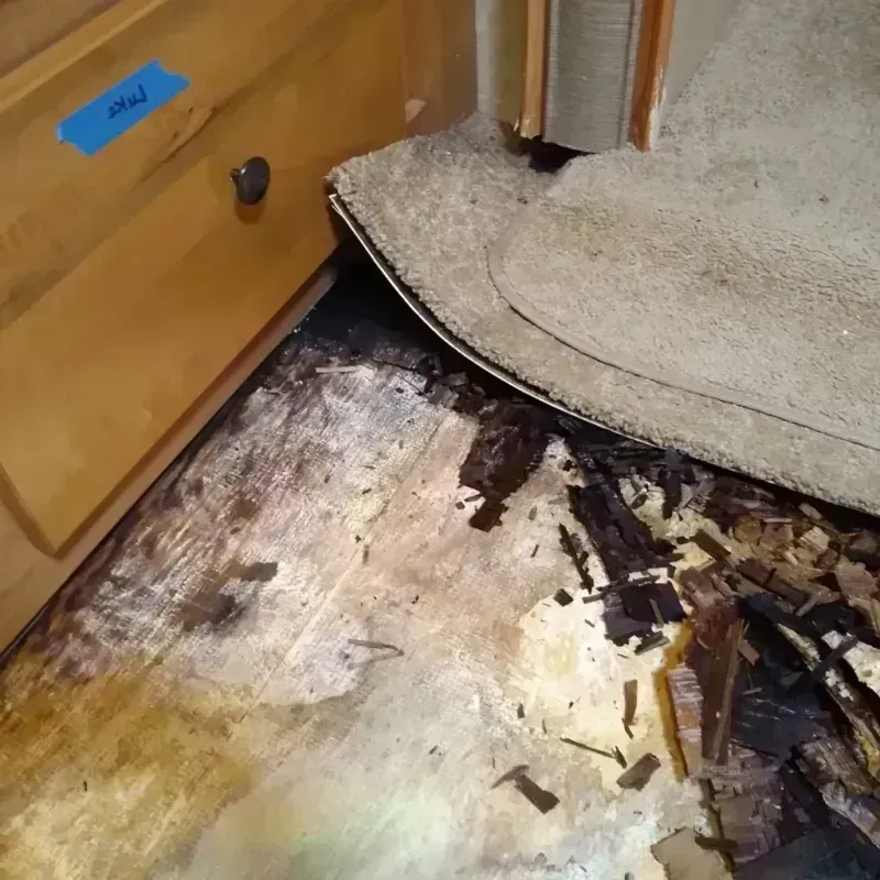 Best Wood Floor Water Damage Service in Cozad, NE